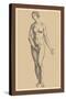 Woman-Andreas Vesalius-Stretched Canvas