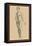 Woman-Andreas Vesalius-Framed Stretched Canvas