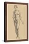 Woman-Andreas Vesalius-Stretched Canvas