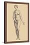 Woman-Andreas Vesalius-Stretched Canvas