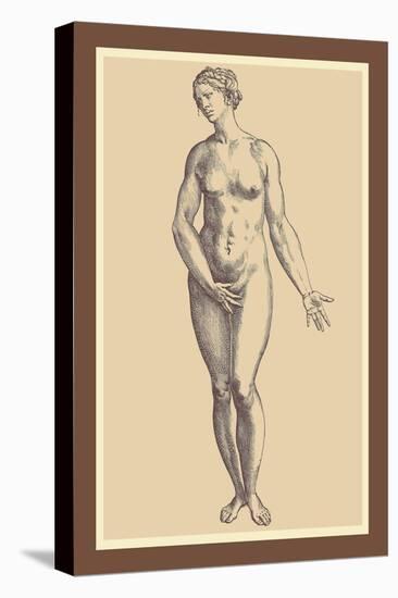 Woman-Andreas Vesalius-Stretched Canvas