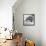 Wombat in a Bathtub-null-Framed Stretched Canvas displayed on a wall