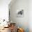 Wombat in a Bathtub-null-Stretched Canvas displayed on a wall