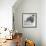 Wombat in a Bathtub-null-Framed Photographic Print displayed on a wall