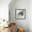 Wombat in a Bathtub-null-Framed Photographic Print displayed on a wall