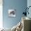 Wombat in a Bathtub-null-Mounted Photographic Print displayed on a wall