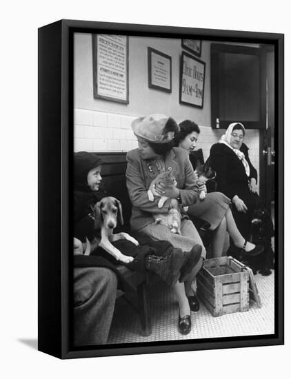 Women and Children Holding Pets While Waiting to See Veterinarian-Nina Leen-Framed Stretched Canvas