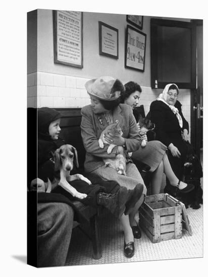 Women and Children Holding Pets While Waiting to See Veterinarian-Nina Leen-Stretched Canvas