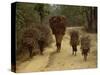 Women and Children Walking on a Country Road, North of Kathmandu, Nepal-Liba Taylor-Stretched Canvas