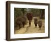 Women and Children Walking on a Country Road, North of Kathmandu, Nepal-Liba Taylor-Framed Photographic Print