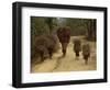 Women and Children Walking on a Country Road, North of Kathmandu, Nepal-Liba Taylor-Framed Photographic Print