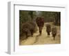 Women and Children Walking on a Country Road, North of Kathmandu, Nepal-Liba Taylor-Framed Photographic Print