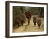 Women and Children Walking on a Country Road, North of Kathmandu, Nepal-Liba Taylor-Framed Photographic Print