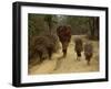 Women and Children Walking on a Country Road, North of Kathmandu, Nepal-Liba Taylor-Framed Photographic Print