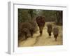 Women and Children Walking on a Country Road, North of Kathmandu, Nepal-Liba Taylor-Framed Photographic Print