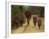 Women and Children Walking on a Country Road, North of Kathmandu, Nepal-Liba Taylor-Framed Photographic Print