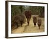 Women and Children Walking on a Country Road, North of Kathmandu, Nepal-Liba Taylor-Framed Photographic Print