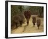 Women and Children Walking on a Country Road, North of Kathmandu, Nepal-Liba Taylor-Framed Photographic Print