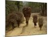 Women and Children Walking on a Country Road, North of Kathmandu, Nepal-Liba Taylor-Mounted Photographic Print