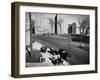 Women and Couples Walking Babies in Carriage in Parkchester Housing Development in the Bronx-Alfred Eisenstaedt-Framed Photographic Print