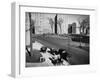 Women and Couples Walking Babies in Carriage in Parkchester Housing Development in the Bronx-Alfred Eisenstaedt-Framed Photographic Print