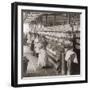 Women and Girls Working in the Spooling Room of a Cotton Mill in Malaga, Spain. 1898-null-Framed Photo