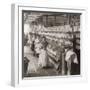 Women and Girls Working in the Spooling Room of a Cotton Mill in Malaga, Spain. 1898-null-Framed Photo