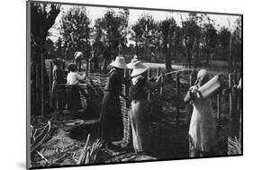 Women Assigned to Trench Works-null-Mounted Photographic Print