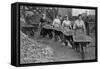 Women Barrowing Coke at a Gas Works, War Office Photographs, 1916 (B/W Photo)-English Photographer-Framed Stretched Canvas