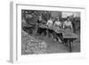 Women Barrowing Coke at a Gas Works, War Office Photographs, 1916 (B/W Photo)-English Photographer-Framed Giclee Print