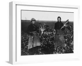 Women Beet Pulling for the War Effort During World War I-Robert Hunt-Framed Photographic Print