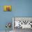 Women Carrying Basket on Head, Antigua, Guatemala-Keren Su-Photographic Print displayed on a wall