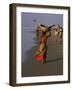Women Carrying Fish Catch to the Market of Fishing Village, Puri, Orissa State, India-Jeremy Bright-Framed Photographic Print