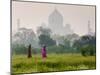 Women Carrying Water Pots, Taj Mahal, Agra, India-Peter Adams-Mounted Photographic Print