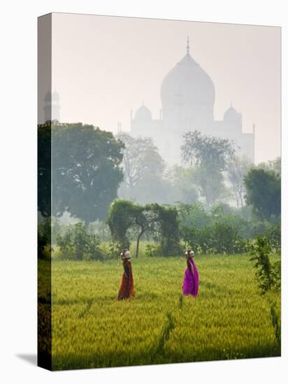 Women Carrying Water Pots, Taj Mahal, Agra, India-Peter Adams-Stretched Canvas