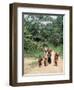 Women Coming Form the Fields, Assoumdele Village, Northern Area, Congo, Africa-David Poole-Framed Photographic Print