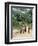 Women Coming Form the Fields, Assoumdele Village, Northern Area, Congo, Africa-David Poole-Framed Photographic Print