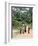 Women Coming Form the Fields, Assoumdele Village, Northern Area, Congo, Africa-David Poole-Framed Photographic Print