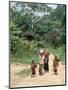Women Coming Form the Fields, Assoumdele Village, Northern Area, Congo, Africa-David Poole-Mounted Photographic Print