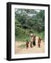 Women Coming Form the Fields, Assoumdele Village, Northern Area, Congo, Africa-David Poole-Framed Photographic Print