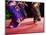 Women Dancers, Indian Traditional Dance Festival, Mamallapuram (Mahabalipuram), Tamil Nadu, Inda-Tuul-Mounted Photographic Print