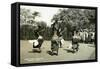 Women Dancers Performing, Sierra Leone, 20th Century-null-Framed Stretched Canvas