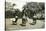 Women Dancers Performing, Sierra Leone, 20th Century-null-Stretched Canvas