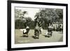 Women Dancers Performing, Sierra Leone, 20th Century-null-Framed Giclee Print