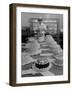 Women Decorating Cakes at Helms Bakery-null-Framed Photographic Print