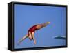 Women Diver Flying Through the Air-null-Framed Stretched Canvas