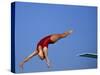 Women Diver Flying Through the Air-null-Stretched Canvas