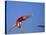 Women Diver Flying Through the Air-null-Stretched Canvas