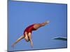 Women Diver Flying Through the Air-null-Mounted Premium Photographic Print
