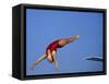 Women Diver Flying Through the Air-null-Framed Stretched Canvas